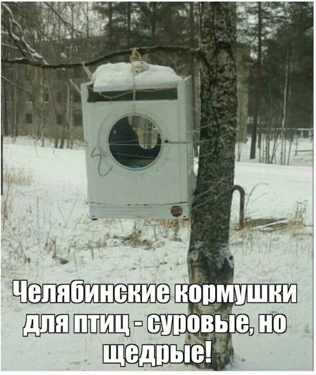 Картинки для настроения - «Прикольные картинки»