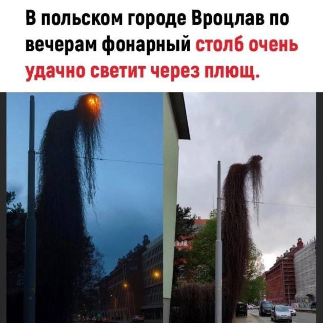 Подборка лучших мемов за весь день - «Прикольные картинки»